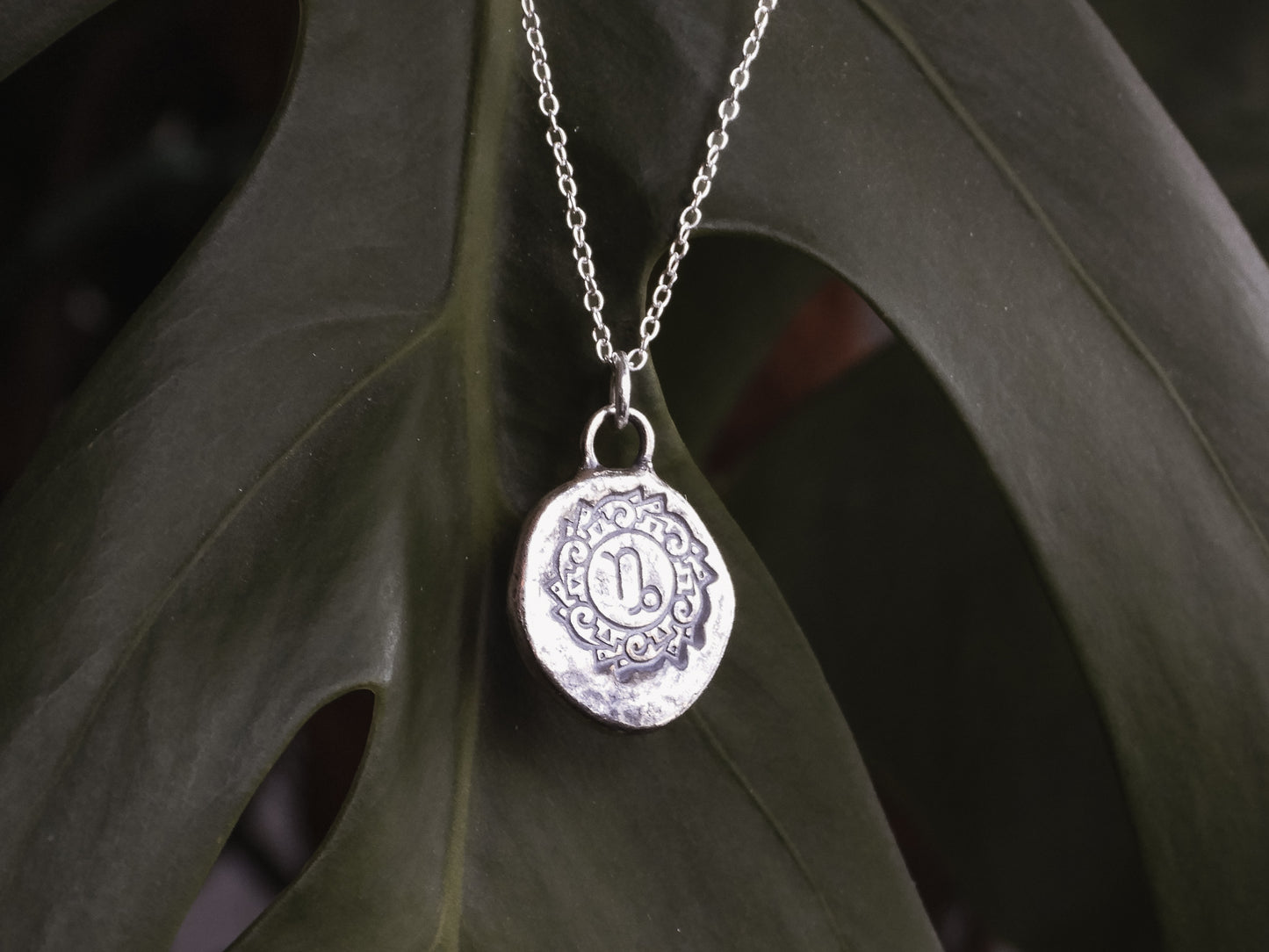 rustic capricorn star sign mandala coin necklace